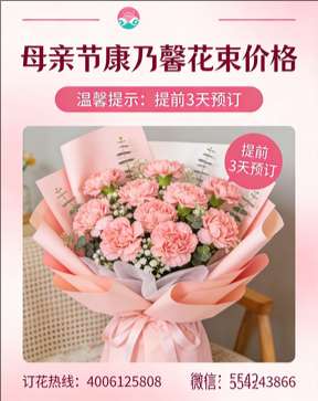 洛阳伊滨区花店母亲节康乃馨花束