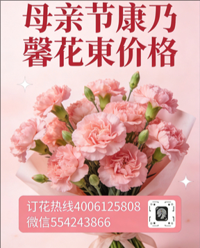 洛阳伊滨区花店母亲节康乃馨花束